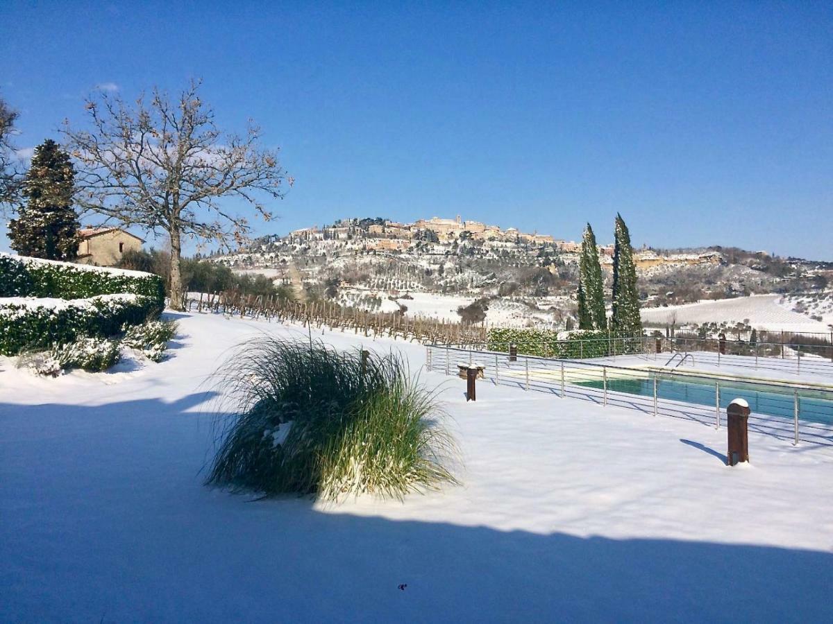 Bed & Breakfast The Grapevine By Manvi Montepulciano